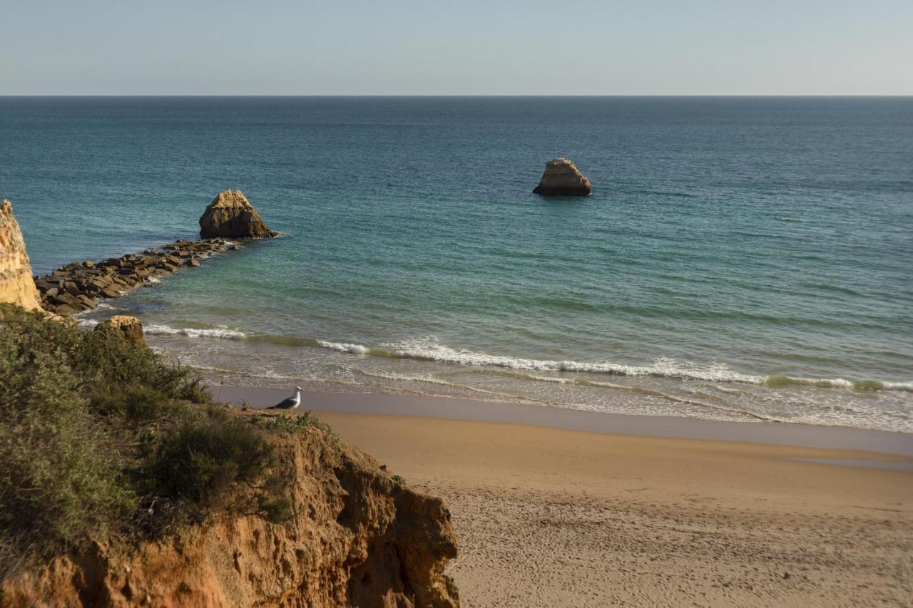 Apartment In Praia Da Rocha With A-C, Terrace In ปอร์ติเมา ภายนอก รูปภาพ
